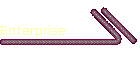 Enterprise